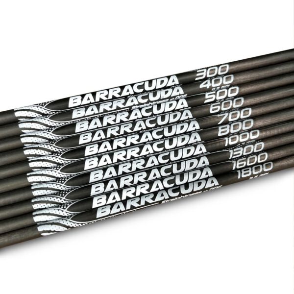 Barracuda Carbonschaft